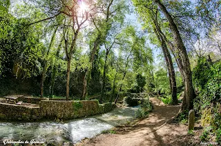 Paraje de Las Chorreras