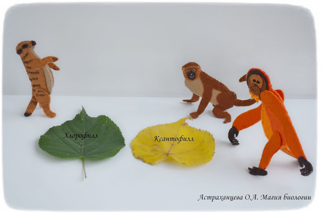 palchikovyj-teatr-martyshka-orangutan-surikat-osen-листья