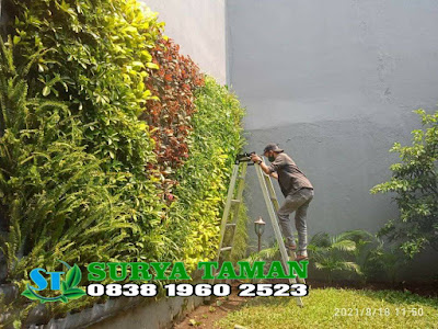 Tukang Taman Vertical Garden di Cimanggu Bogor | Tukang Rumput Bogor