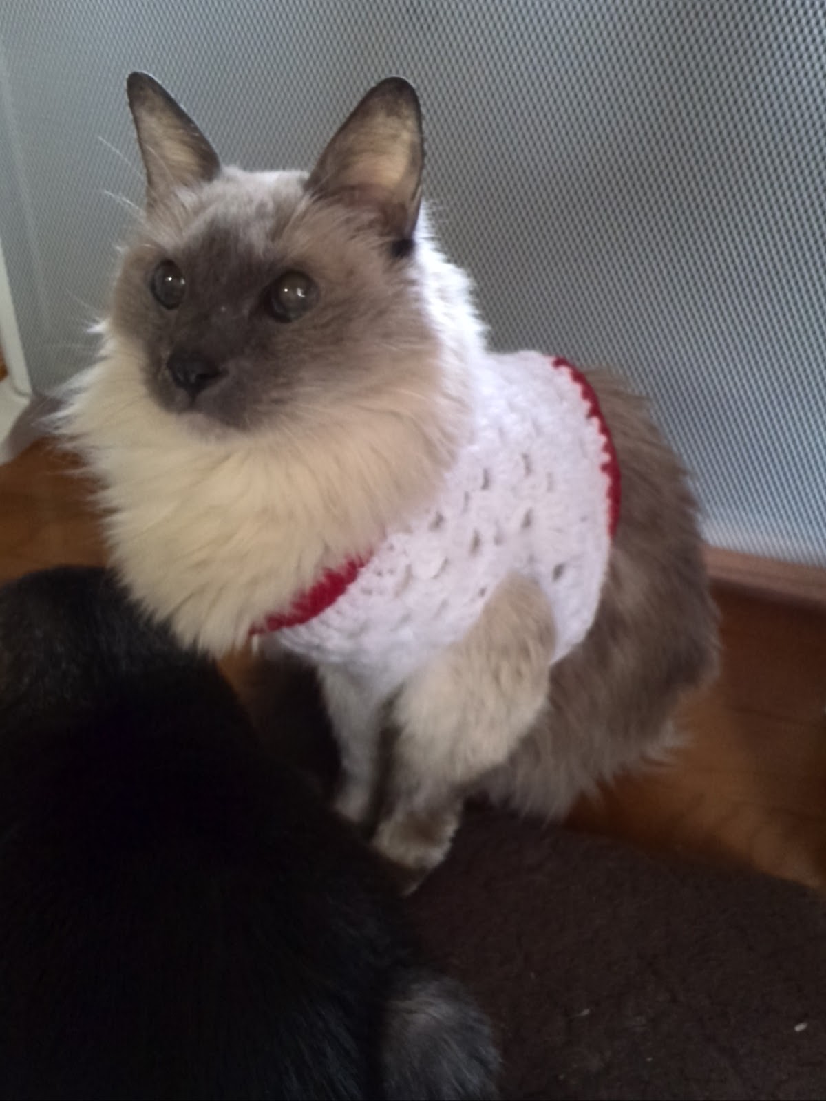 猫用のかぎ針編みのセーター Crochet And Me かぎ針編みの編み図と編み方