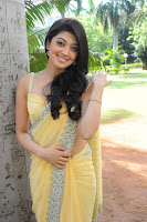 Cute, Pranitha, In, A, Yellow, Saree