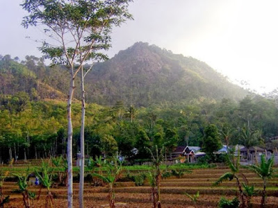  Tempat Wisata di Pemalang yang Paling Diminati Pengunjung 12 Tempat Wisata di Pemalang yang Paling Diminati Pengunjung