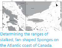 https://sciencythoughts.blogspot.com/2020/05/determining-ranges-of-stalked-fan.html