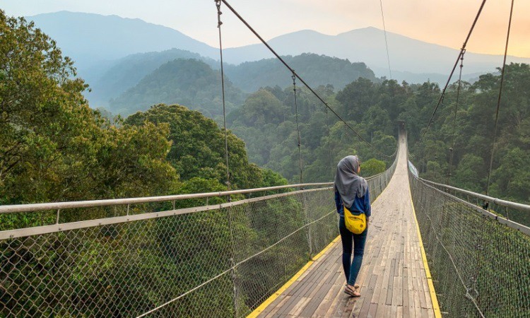 Jembatan Gantung Situ Gunung, Wisata Ikonik di Sukabumi