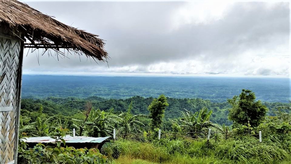 Bandarban Nilgiri