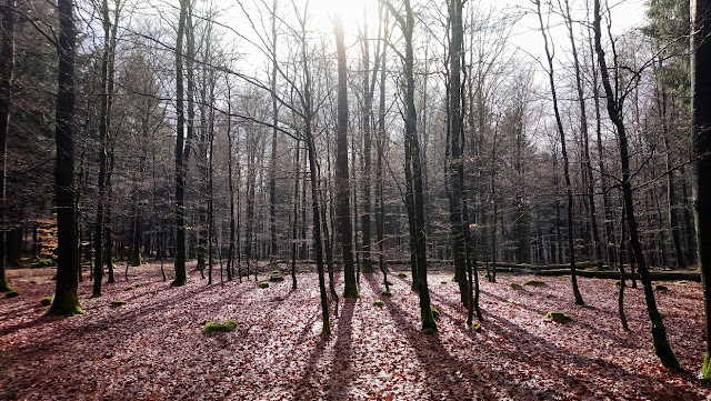 Sauerland wandern Wetter blog Winterberg