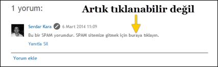 spam yorum