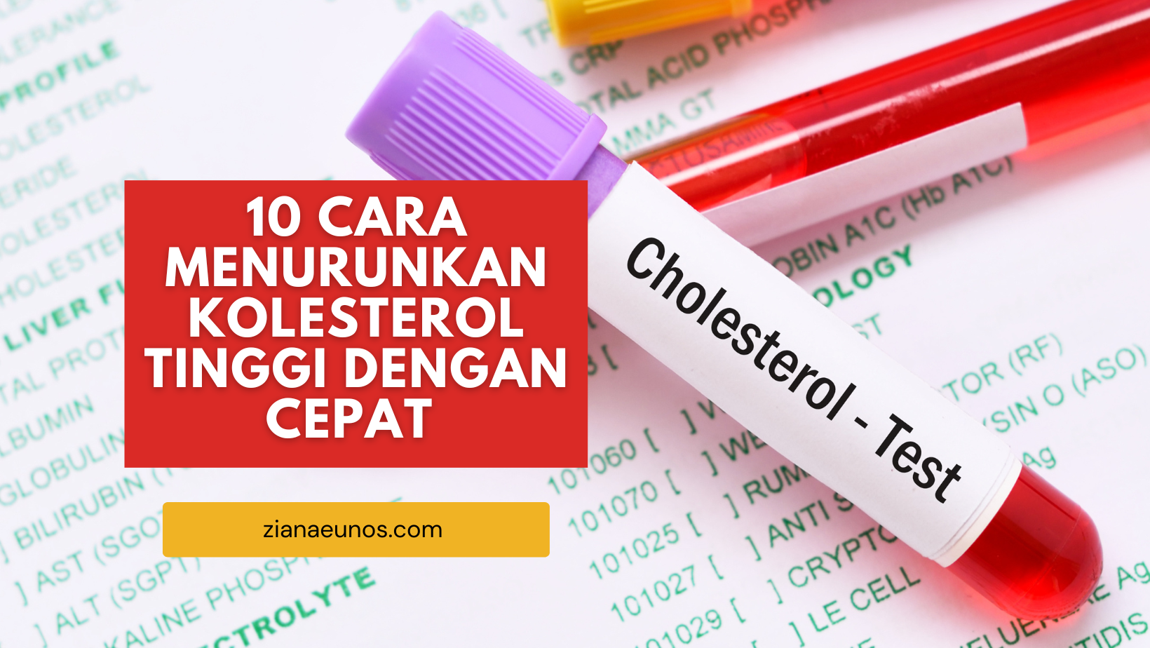Cara menurunkan kolesterol tinggi dengan cepat