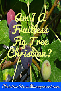 Am I A Fruitless Fig Tree Christian?