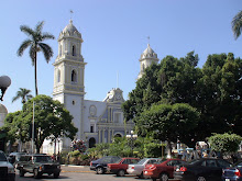 Cordoba Cathedral