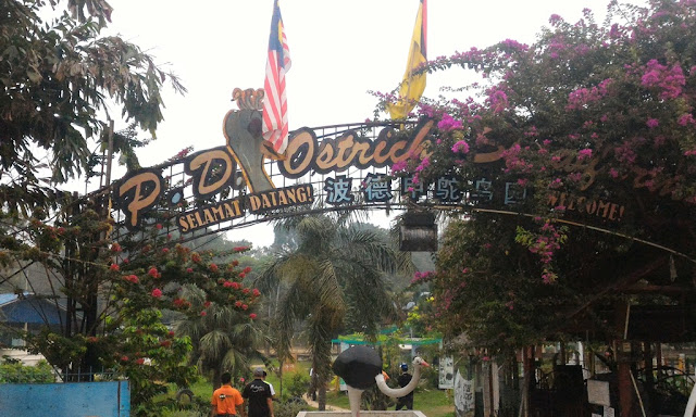 Port Dickson Ostrich Show Farm Makan Sate Burung Unta