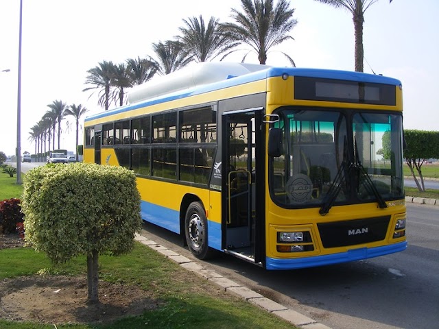 MAN entregará 122 buses propulsados a GNC para El Cairo en Egipto