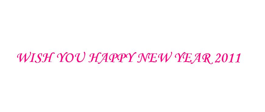 WISH U A HAPPY NEW YEAR 2011 ***