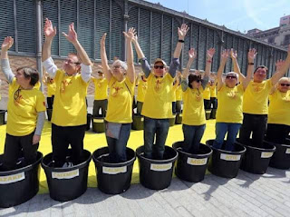 catalanistas, macetas, amarillo, catalans molt ben plantats