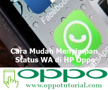 Cara Mudah Menyimpan Status WA di HP Oppo