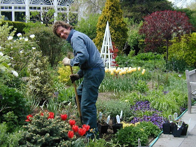 Choosing and Planting Perennials