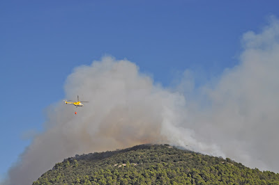 Hubschrauber bei der Löschung eines Waldbrandes