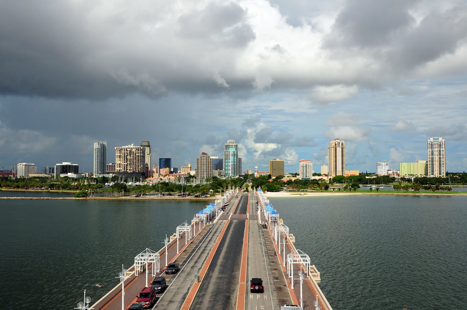 Dina s City Wildlife Adventures St  Pete  Pier  Skywatch 