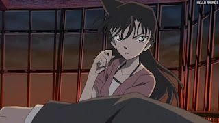 名探偵コナン 映画 劇場版13 漆黒の追跡者 チェイサー | Detective Conan Movie 13 The Raven Chaser