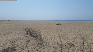 BEACH / Praia da Costa de Santo André, Santiago do Cacém, Portugal