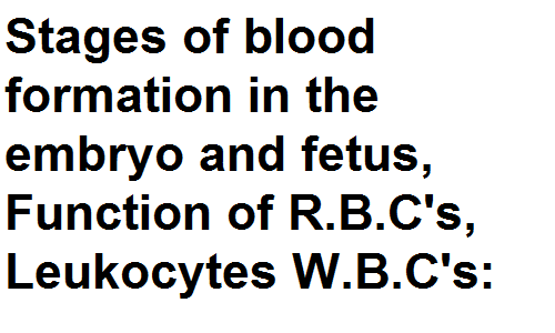 Stages of blood formation in the embryo and fetus, Function of R.B.C's, Leukocytes W.B.C's: