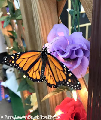 Folk's Butterfly Farm at the Pennsylvania Farm Show