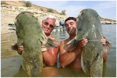 Unbelievable Pictures Of Gaint Fish