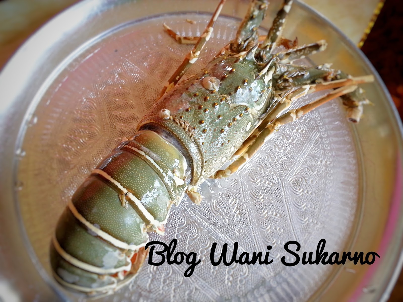 Resepi Lobster Masak Butter Paling Sedap