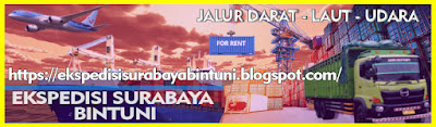 JASA EKSPEDISI PENGIRIMAN SURABAYA-BINTUNI TELUK BINTUNI PAPUA BARAT MURAH