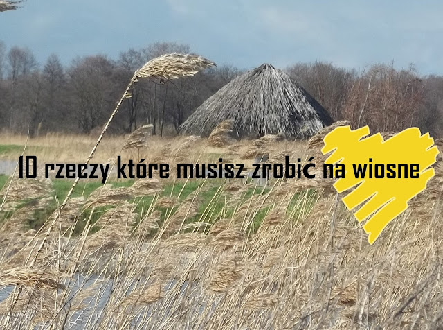 10 rzeczy, które warto zrobić na wiosnę