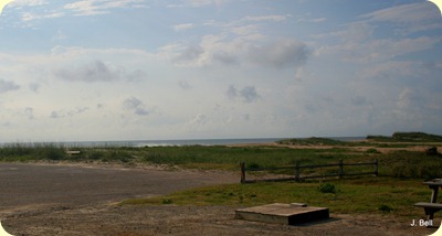 IMG_0446