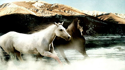 White and Brown Horse Running Wallpaper