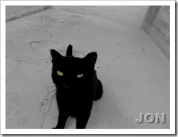 Jon