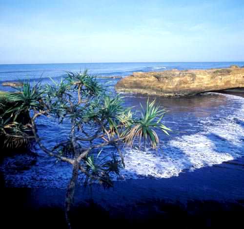 tempat wisata ciwidey bandung selatan