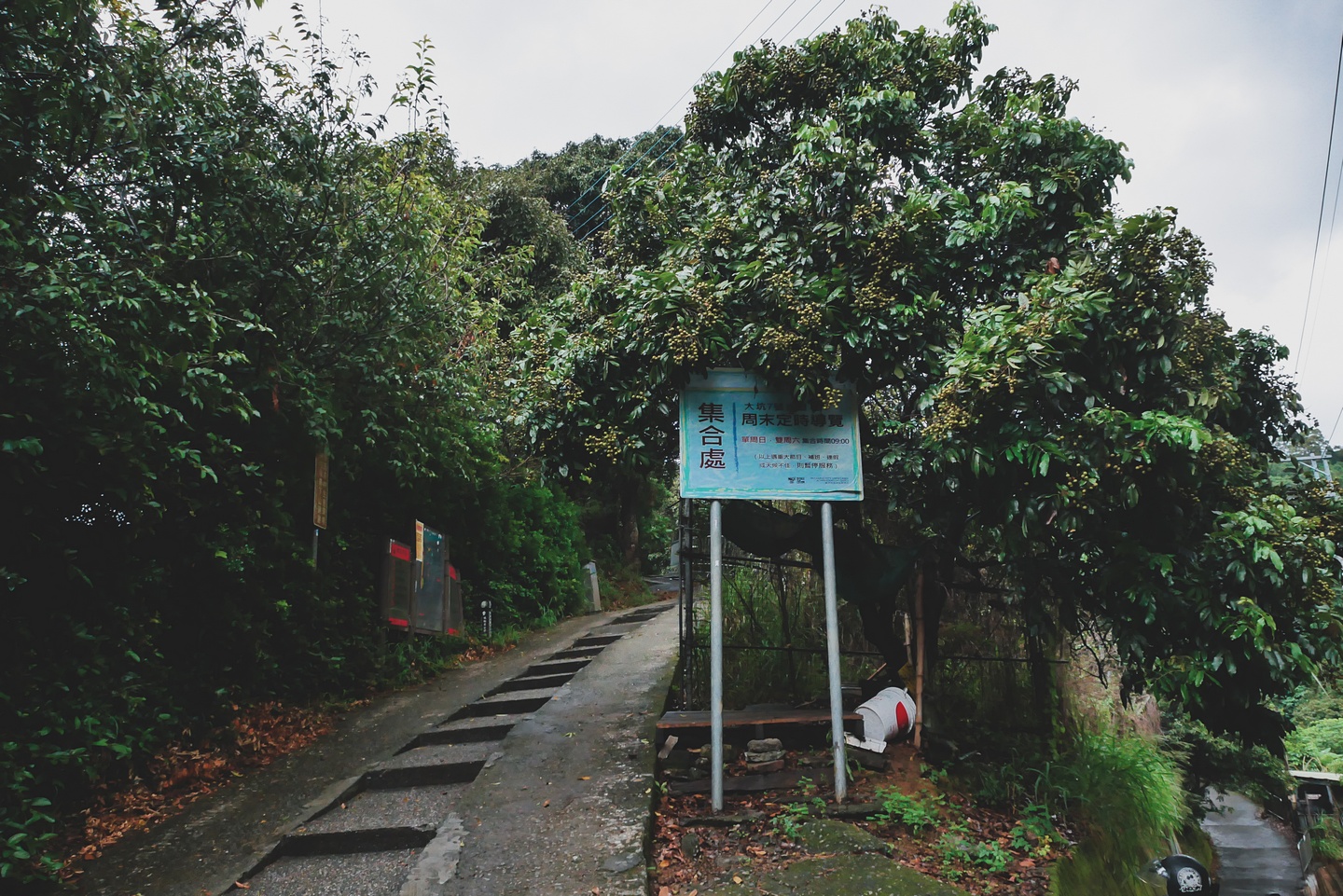 大坑登山步道