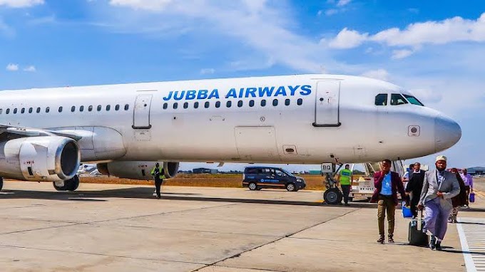 Industri Dirgantara Somalia, Jubba, Daallo Airlines