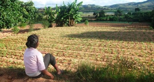  AGRICULTURE DURABLE | Massöva, la société qui a séduit l’ONU