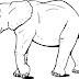 Sketsa Gambar Binatang Gajah Terbaru