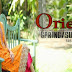 Orient Textiles Summer Lawn 2014-15 | Orient Sneak Peak First Edition 2014