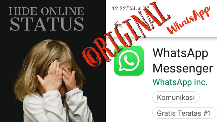 Cara menyembunyikan status online di WA biasa