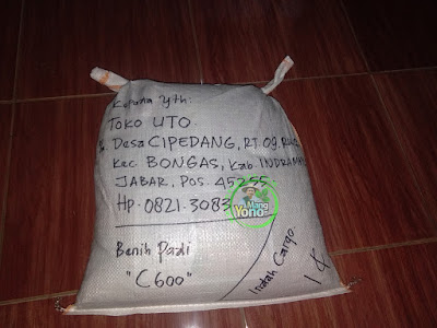 Benih Padi Pesanan   TOKO UTO Indramayu, Jabar  Benih Sesudah di Packing