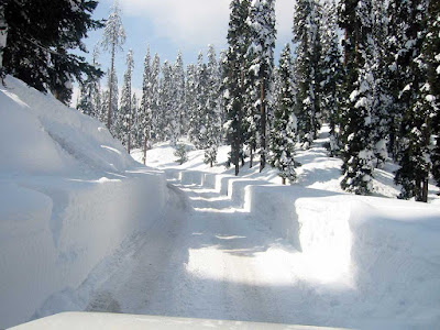 Snowy Road - Gulmarg