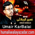 http://www.humaliwalayazadar.com/2017/09/umair-karbalai-nohay-2018.html