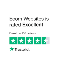 ecom websites review