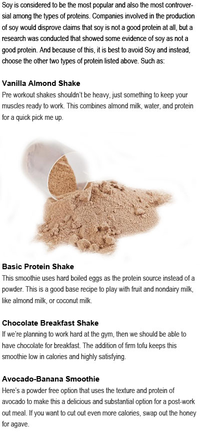 Non soy protein powder