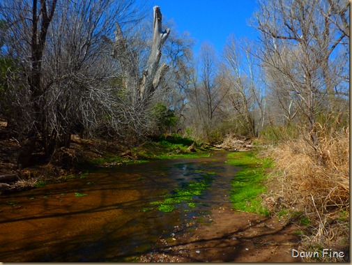 patagonia sonoita nature consevancy_002