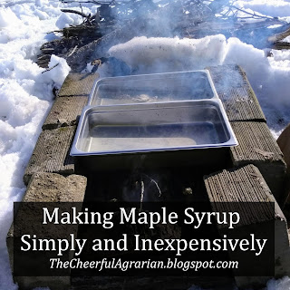 backyard small scale maple syrup