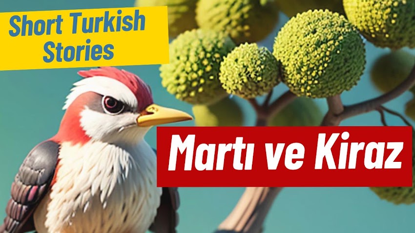 Easy Turkish Stories: Martı ve Kiraz (Seagull and Cherry)