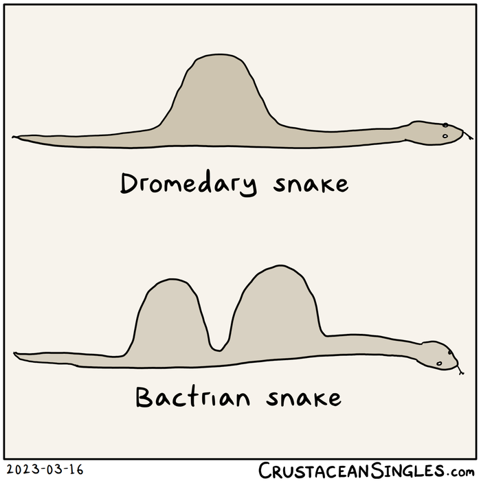 A snake with one hump on its back is labeled "Dromedary snake". Another with two humps is labeled "Bactrian snake".