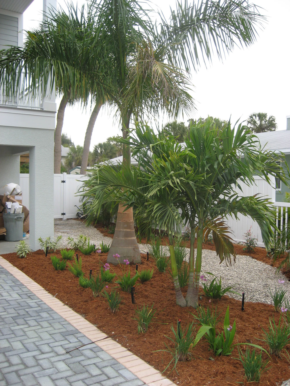 LANDSCAPING AND HOME GARDENS WITH PALM TREES